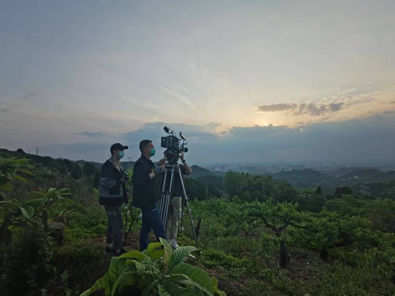创意破圈！阿巴嘎旗电商产品宣传视频用故事化叙事引爆流量
