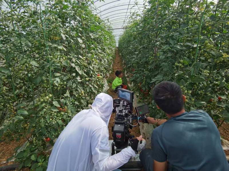 阿巴嘎旗产品宣传视频拍摄公司进阶指南，助力品牌抢占传播高地